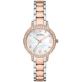 Emporio Armani Cleo Mother of Pearl Dial Two Tone Steel Strap Watch For Women - AR11499
