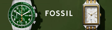 Fossil Brox
