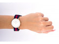 Daniel Wellington Classic Oxford White Dial Two Tone NATO Strap Watch For Women - DW00100029