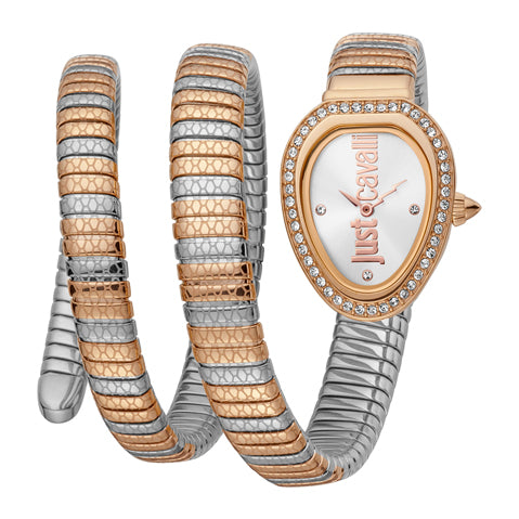 Just Cavalli Doppio Silver Dial Two Tone Steel Strap Watch for Women - JC1L163M0085