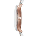 Emporio Armani Classic Silver Dial Two Tone Steel Strap Watch For Men - AR1839