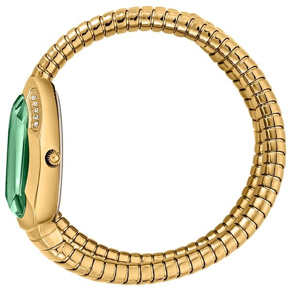 Just Cavalli Glam Evo 4 Green Dial Gold Steel Strap Watch for Women - JC1L209M0045