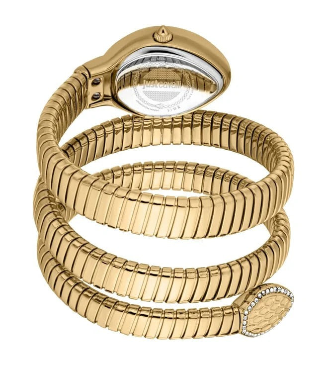 Just Cavalli Carezza Green Dial Gold Steel Strap Watch for Women - JC1L372M0035