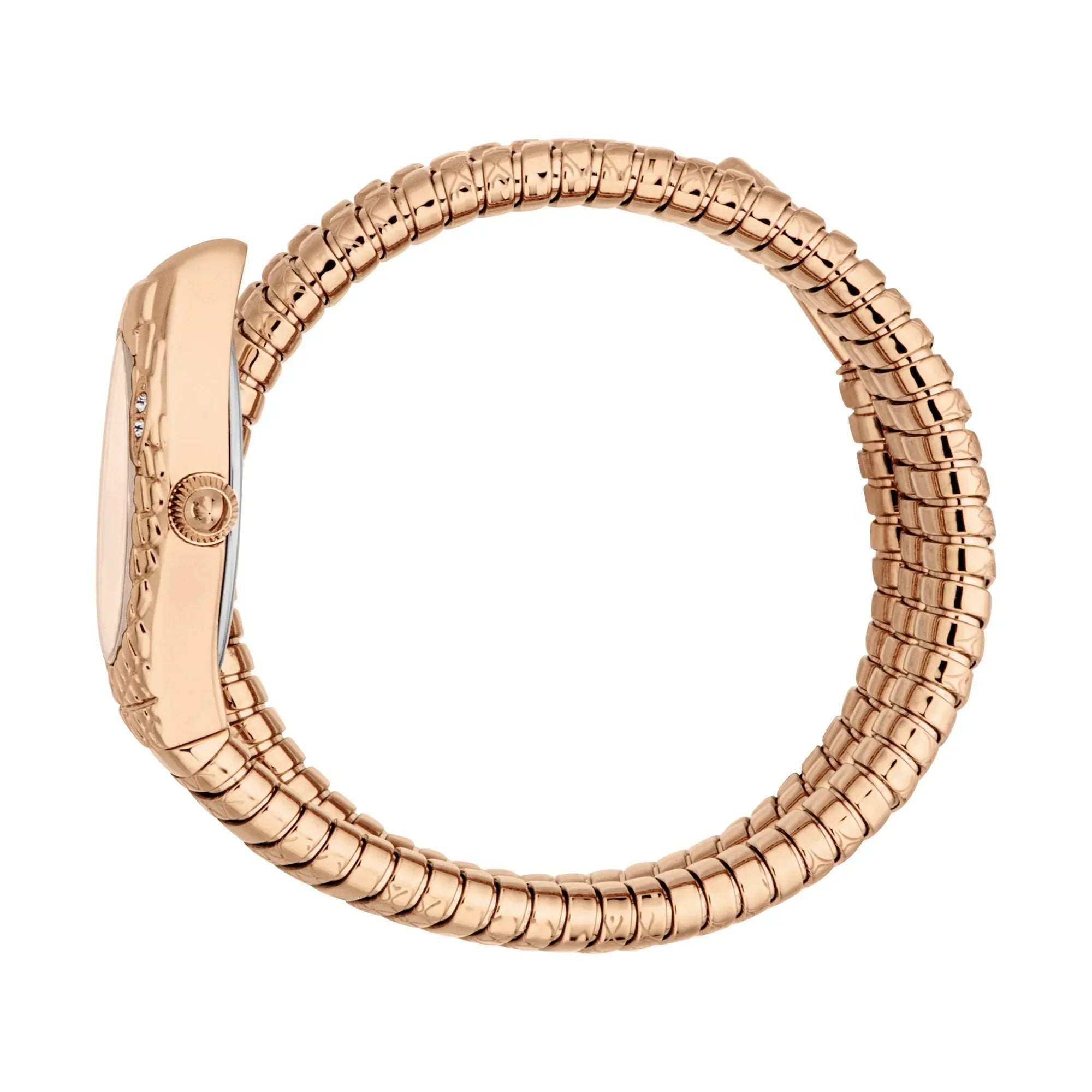 Just Cavalli Aurela Rose Gold Dial Rose Gold Steel Strap Watch for Women - JC1L374M0045