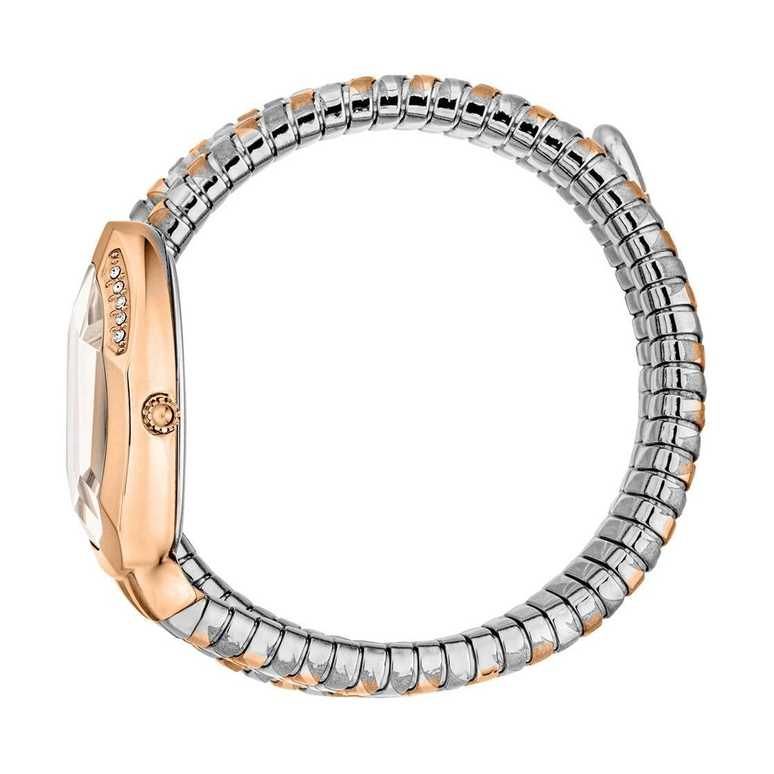 Just Cavalli Taglio Silver Dial Two Tone Steel Strap Watch for Women - JC1L226M0065