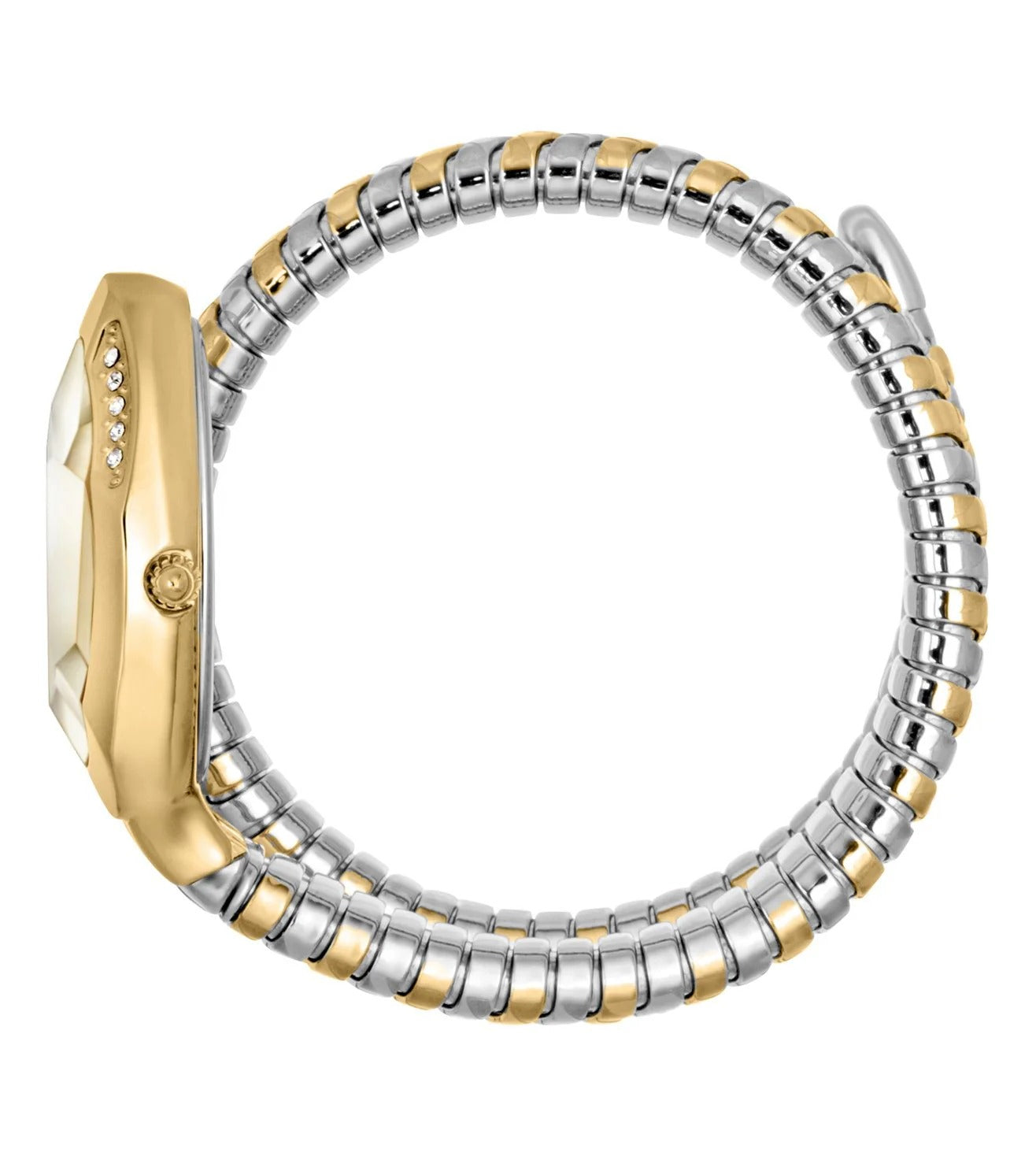 Just Cavalli Taglio Silver Dial Two Tone Steel Strap Watch for Women - JC1L225M0075