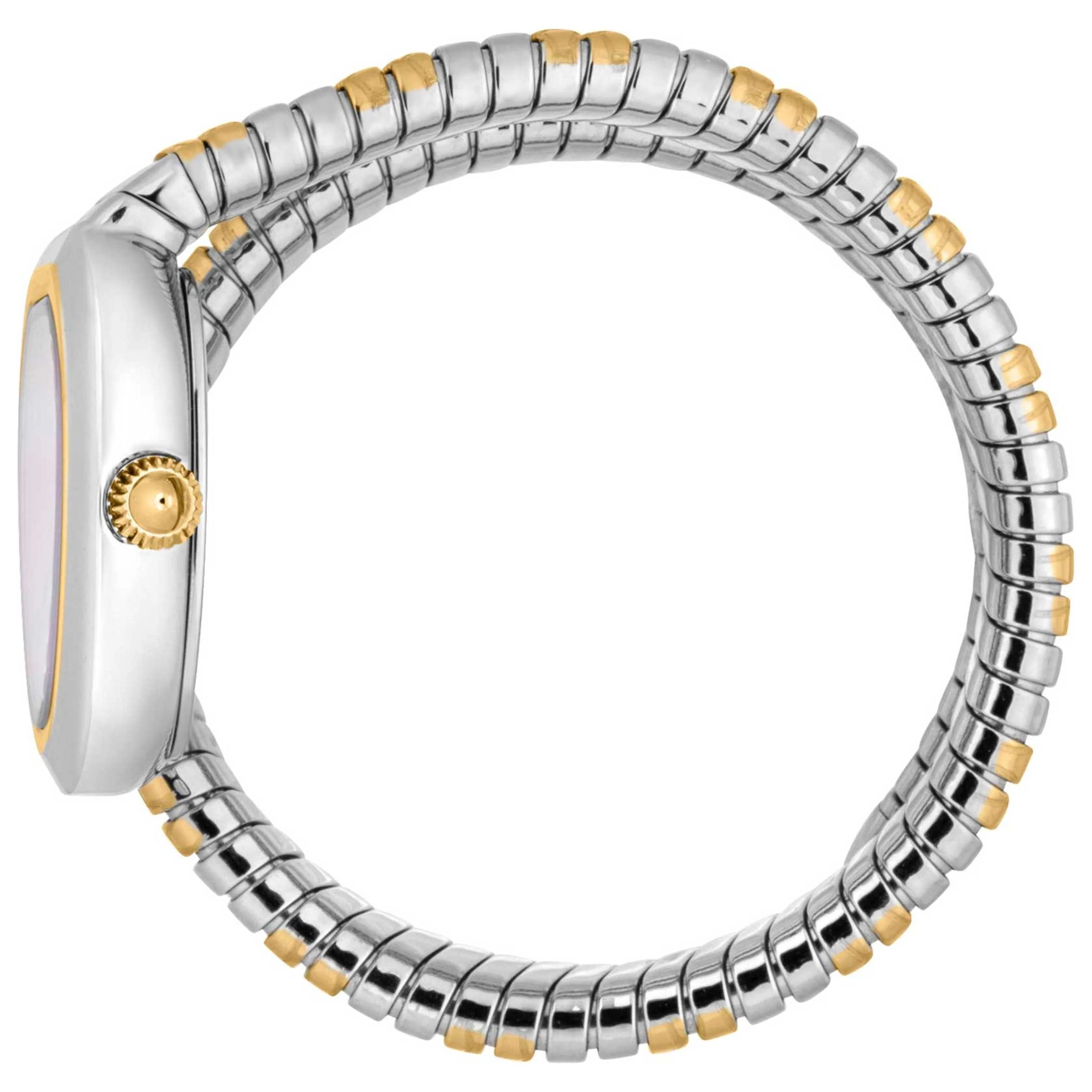 Just Cavalli Aversa Mother of Pearl Dial Two Tone Steel Strap Watch for Women - JC1L222M0055