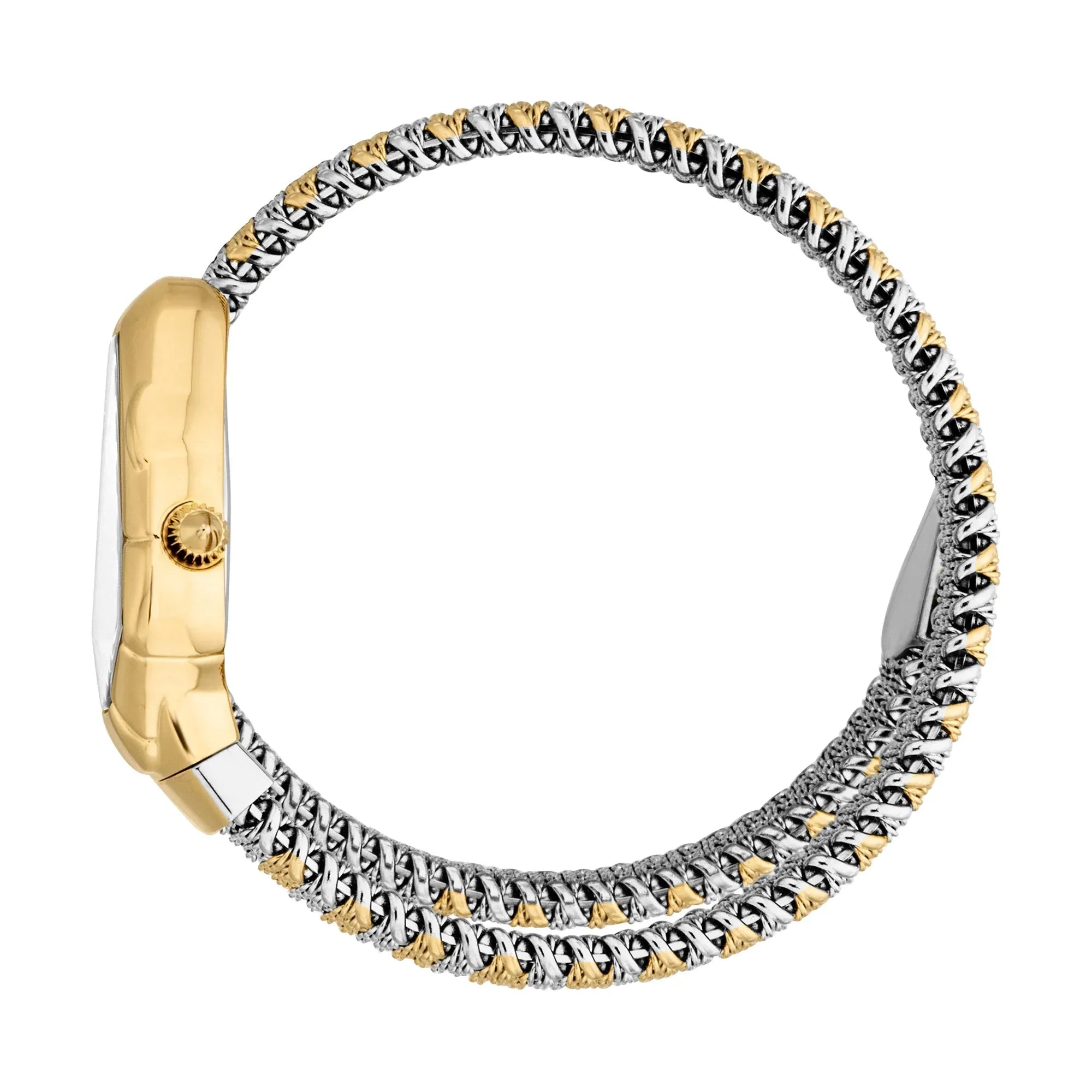 Just Cavalli Fiamma Silver Dial Two Tone Steel Strap Watch for Women - JC1L426M0055