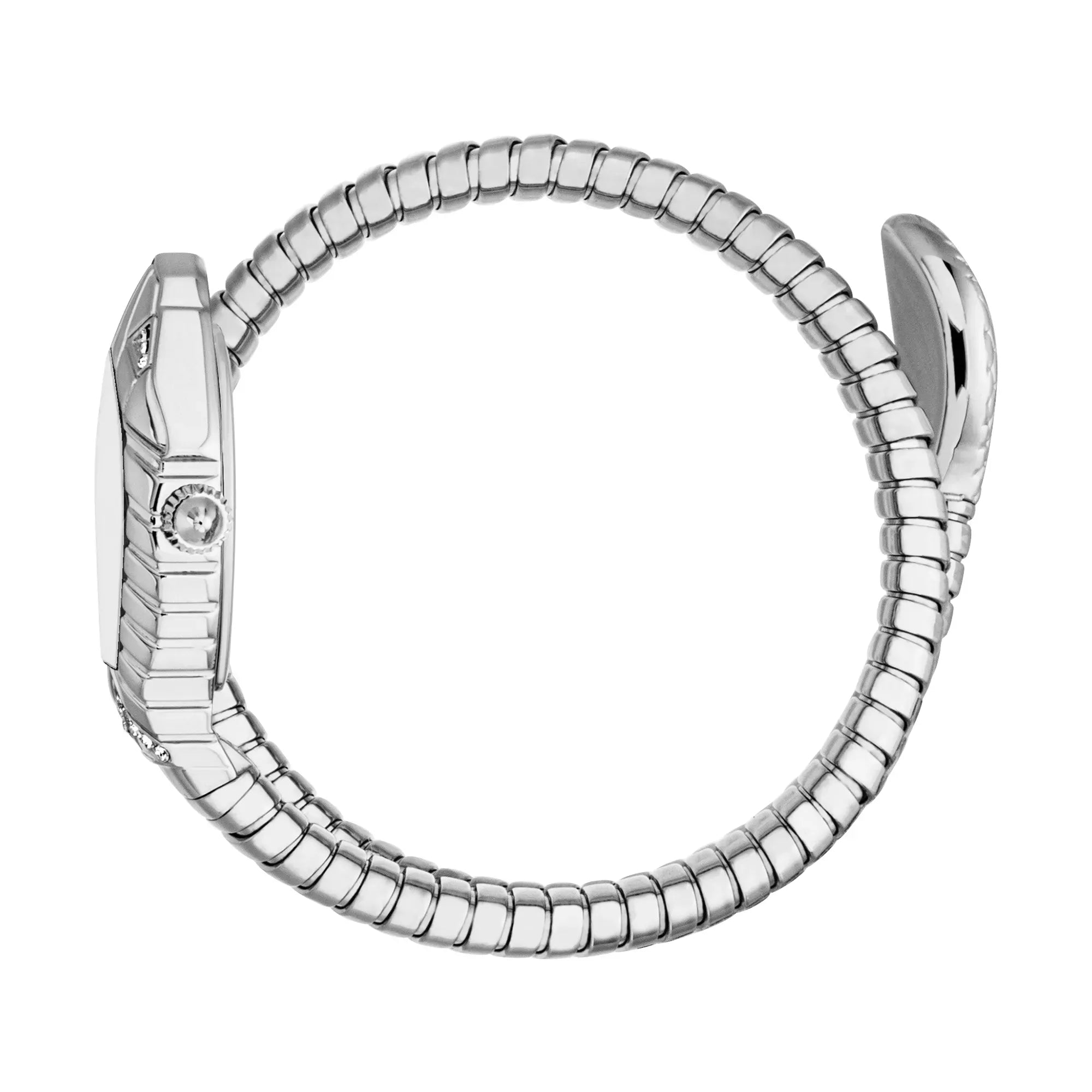 Just Cavalli Speranza Silver Dial Silver Steel Strap Watch for Women - JC1L356M0015