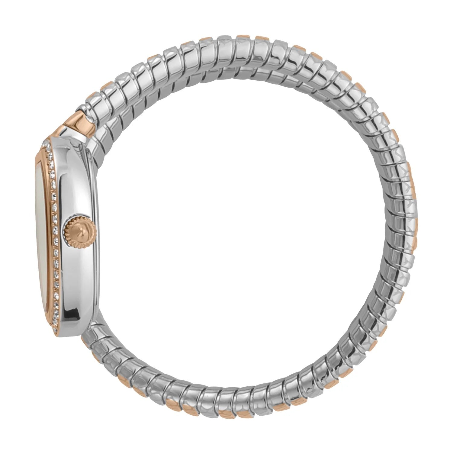 Just Cavalli Solo Mother of Pearl Dial Two Tone Steel Strap Watch for Women - JC1L167M0065