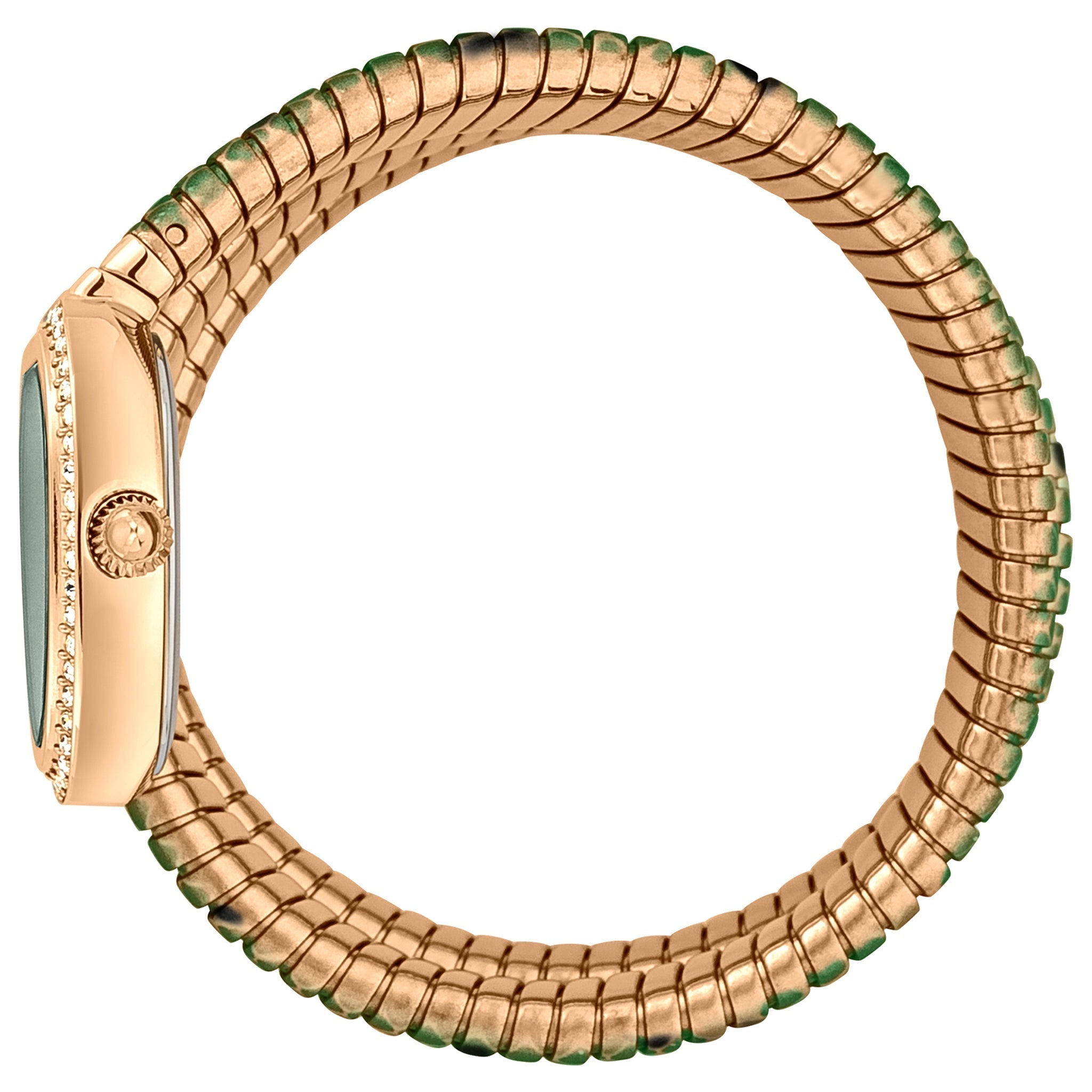 Just Cavalli Glam Snake Green Dial Multicolor Steel Strap Watch for Women - JC1L163M0265