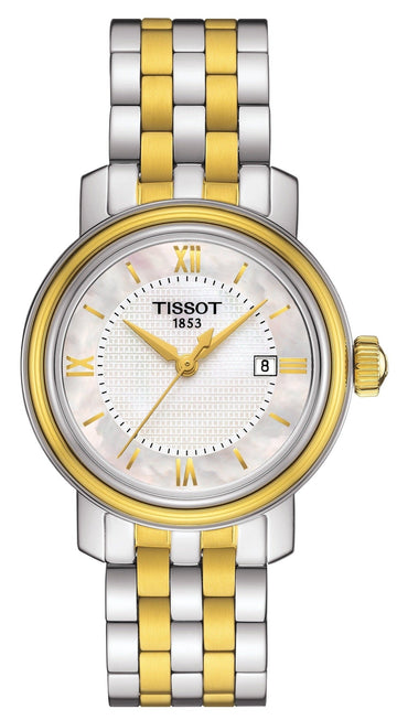 Tissot T Classic Bridgeport Silver Dial Two Tone Mesh Bracelet Watch For Men - T097.410.22.038.00