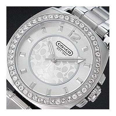 Coach Mini Boyfriend Diamonds Silver Dial Silver Steel Strap Watch for Women - 14501699